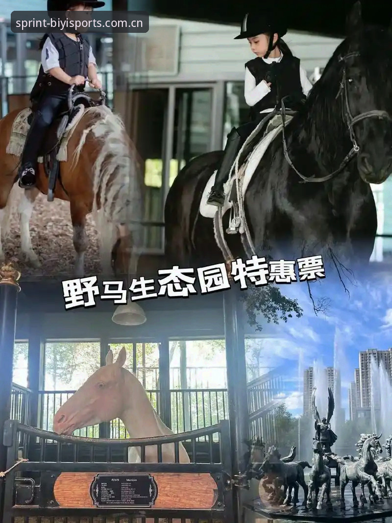 必一体育下载链接 必一体育官网深度评测:从下载链接到全生态体验的全面分析报告